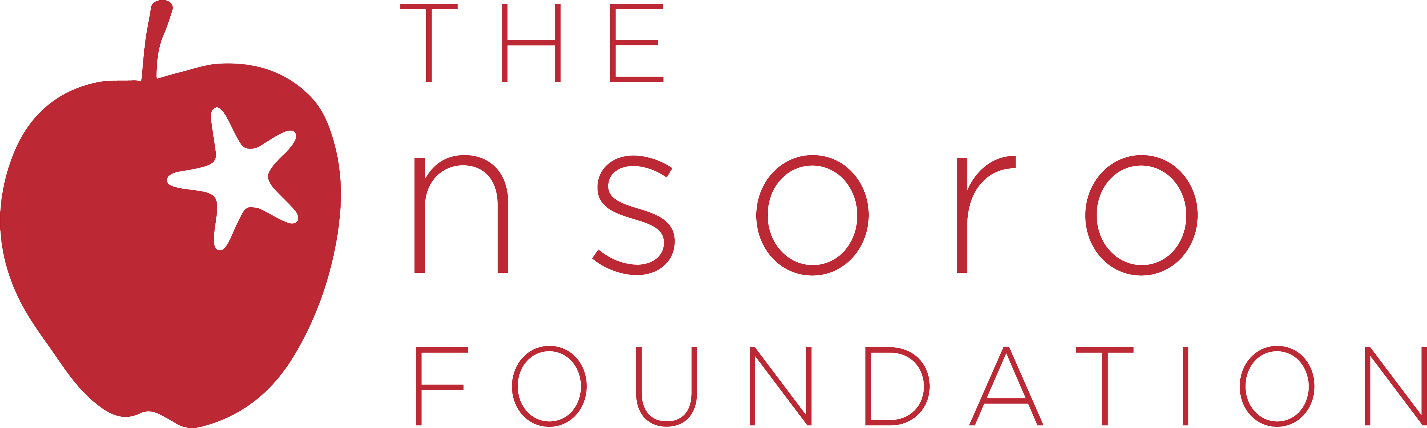 nsoro Educational Foundation